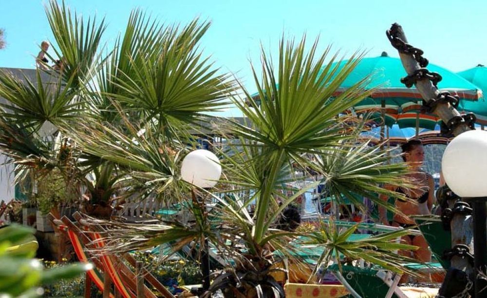 Hotel Esperia Piombino Zewnętrze zdjęcie